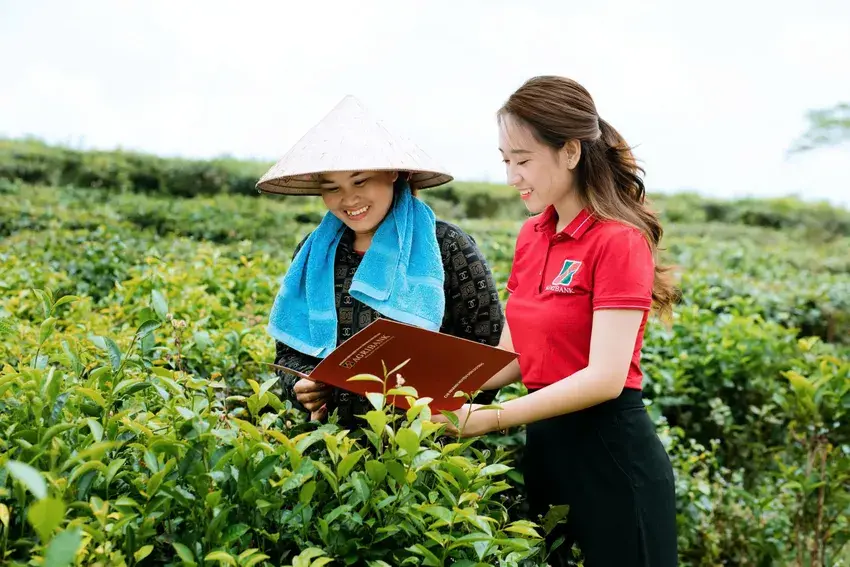 tin-dung-xanh